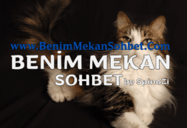 Sohbet Sitelerinin İnsan Üzerindeki Psikolojik Etkileri