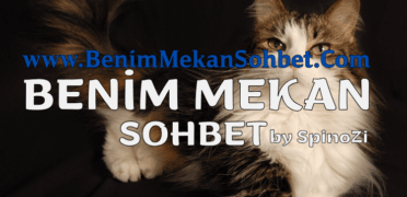 Sohbet Sitelerinin İnsan Üzerindeki Psikolojik Etkileri