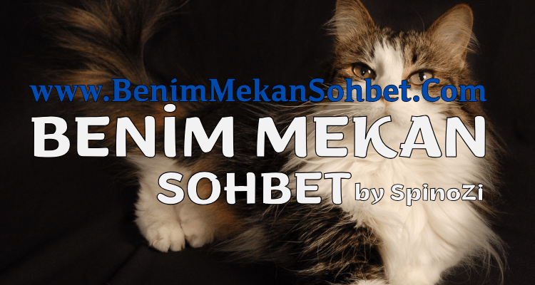 Sohbet Sitelerinin İnsan Üzerindeki Psikolojik Etkileri