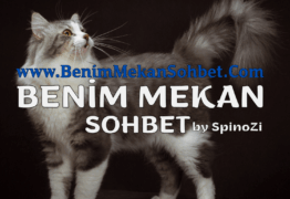 En Popüler Türkçe Chat Siteleri ve Yeni Arkadaşlıklar