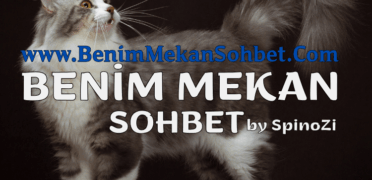 SSL Sertifikası Sohbet Sitelerinde Neden Önemlidir?