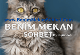 Gabile Sohbet Gabile Life Chat Sohbet Odaları