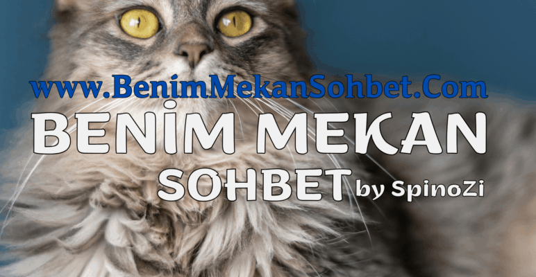 Gabile Sohbet Gabile Life Chat Sohbet Odaları