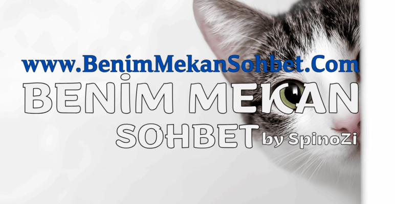 Üyelik Gerektirmeden Sohbet Üyeliksiz Chat Yapma