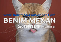 Anonim Sohbet Chat Siteleri