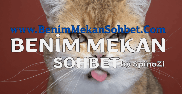 Mobil Sohbet ve Chat Odaları