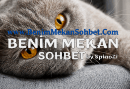 Kadınlarla Ciddi Sohbet İçin Chat Sitesi