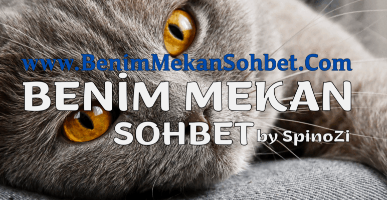 Kadınlarla Ciddi Sohbet İçin Chat Sitesi