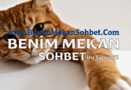 Üyeliksiz Sohbet Chat Siteleri