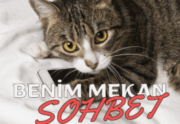 Benim Mekan: Güvenilir Sohbetin Adresi