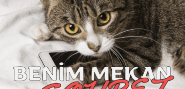 Benim Mekan: Güvenilir Sohbetin Adresi