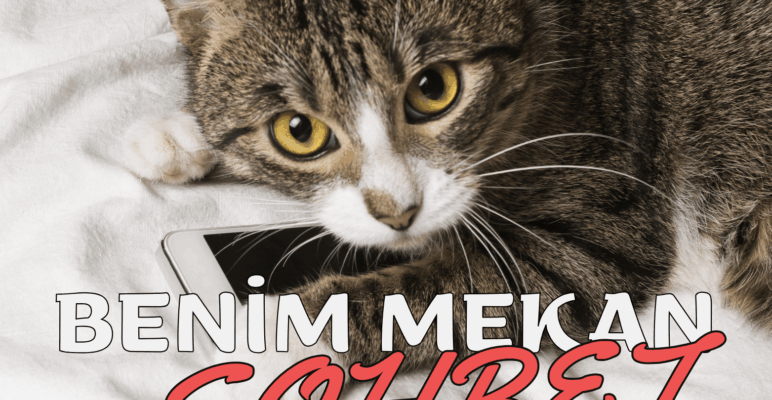 Benim Mekan: Güvenilir Sohbetin Adresi