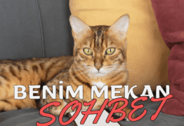 Benim Mekan Mirc İndir