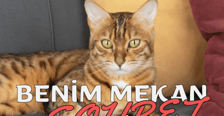 Benim Mekan Mirc İndir