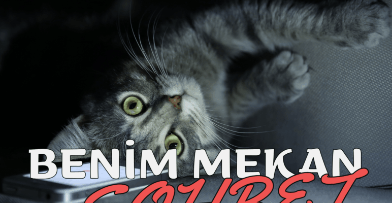 Cramfog Sohbet Canlı Cramfog Chat