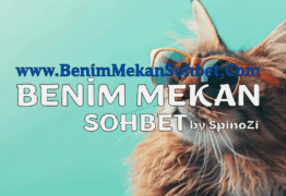 Online Sohbet ile Yeni Arkadaşlıklar ve Eğlenceli Sohbetler